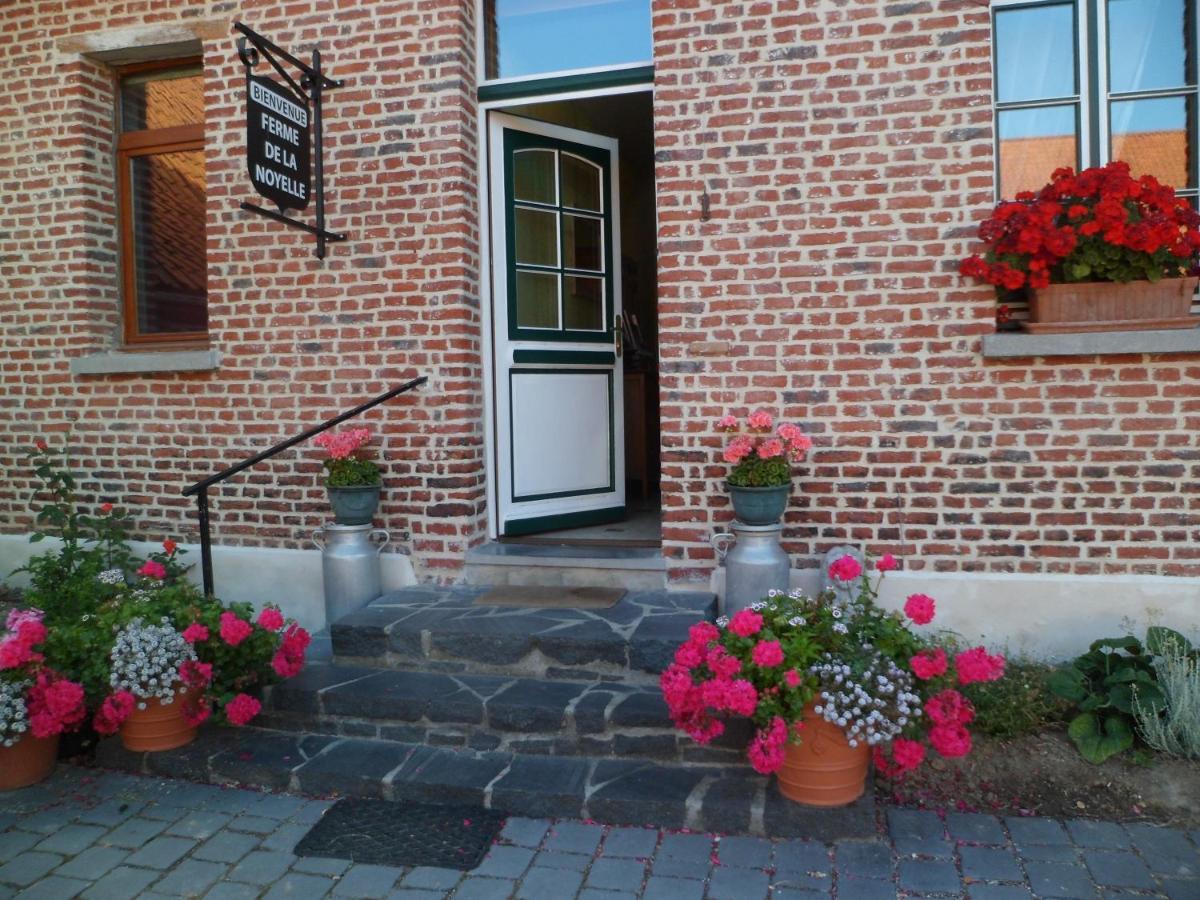 Gîte de la Noyelle à Sainghin en Mélantois Exterior foto